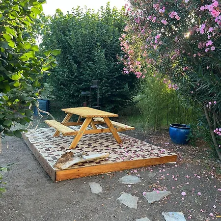 2 Dans Avec Piscine Habitación en casa particular